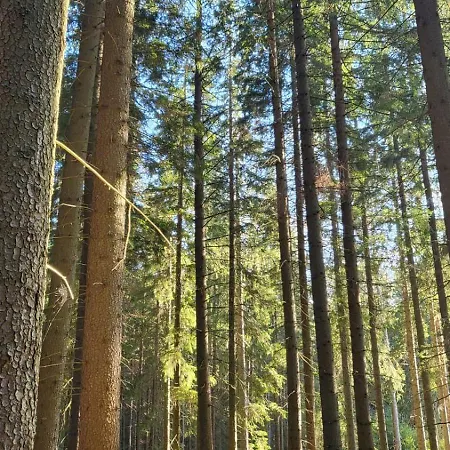 Axiom Konukevi