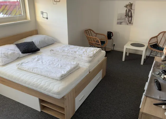 Casa de hóspedes Axiom Frymburk